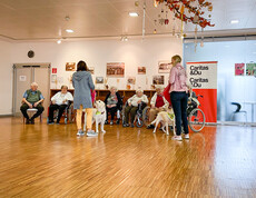 Therapiehunde im Caritas Haus St. Nikolaus