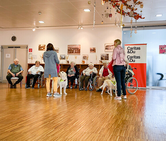 Therapiehunde im Caritas Haus St. Nikolaus