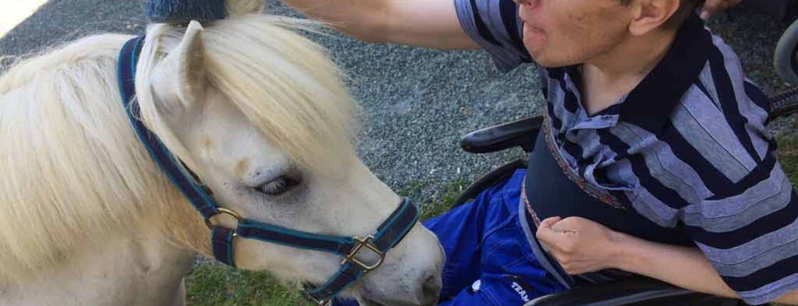 Die blonde Mähne vom Pony "Bitzi" wird mit großer Aufmerksamkeit gestriegelt.