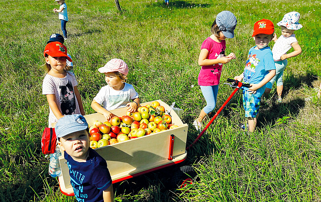 Caritas Kinderkrippe Lackenbach sammelt Aepfel im Garten