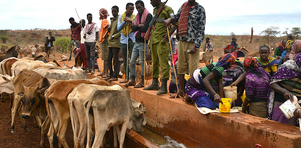 Afrika: Verzweifelte Suche nach Wasser